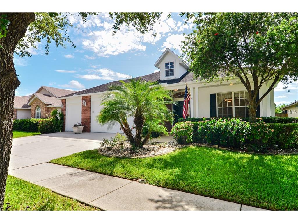 6642 Thackston Dr, Riverview, FL 33578 photo 1