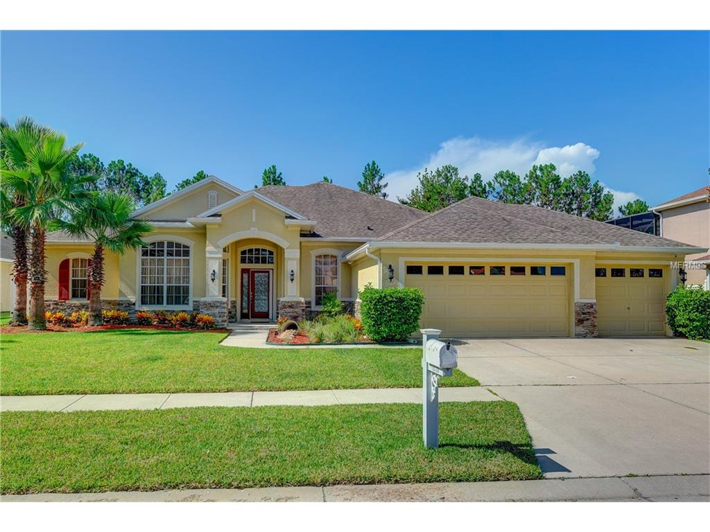11735 Newberry Grove Loop, Riverview, FL 33579 photo 1