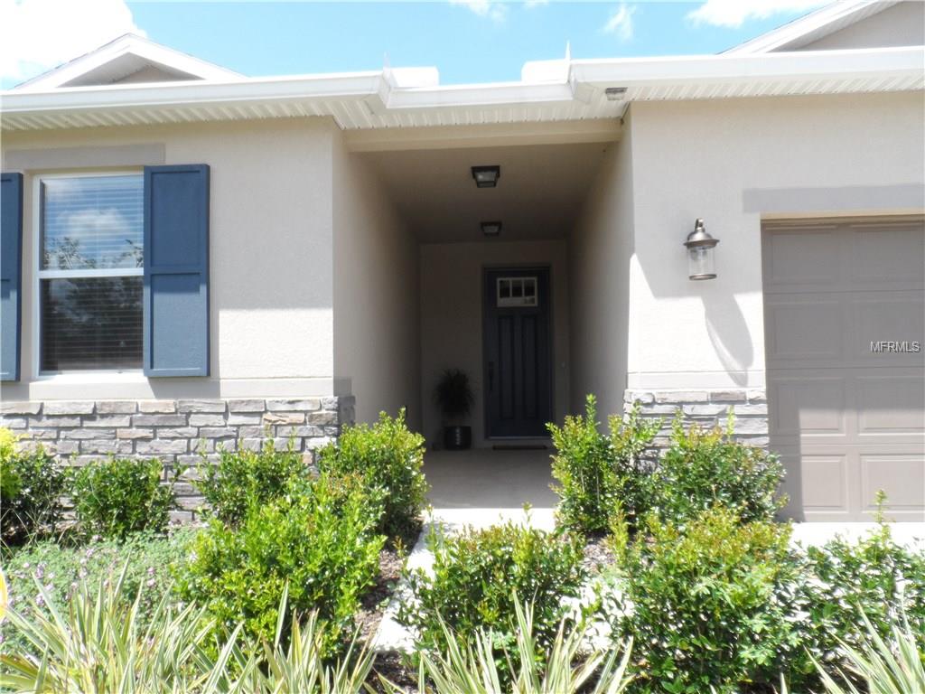 11336 Brighton Knoll Loop, Riverview, FL 33579 photo 1