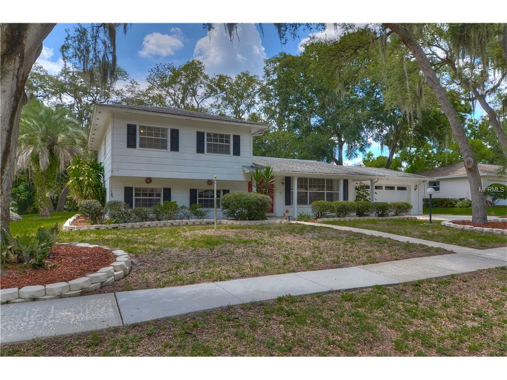2318 Green Lawn St, Brandon, FL 33511 photo 1