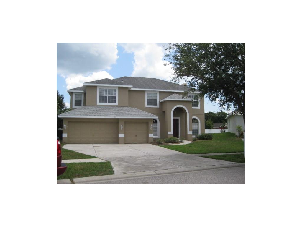 1419 Rowantree Dr, Dover, FL 33527 photo 1