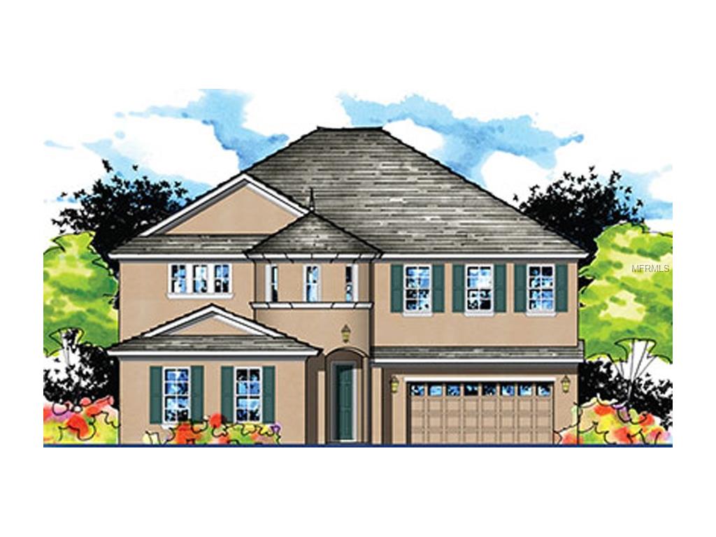 6937 Crestpoint Dr, Apollo Beach, FL 33572 photo 1
