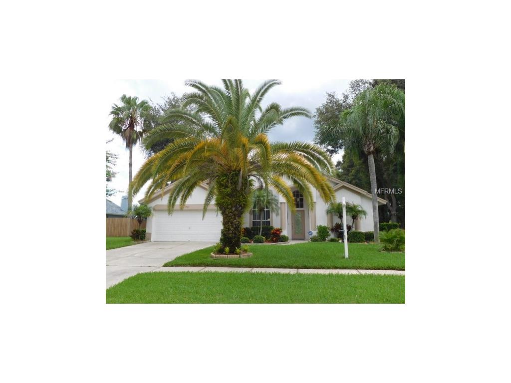 9611 Glenox Ln, Riverview, FL 33569 photo 1