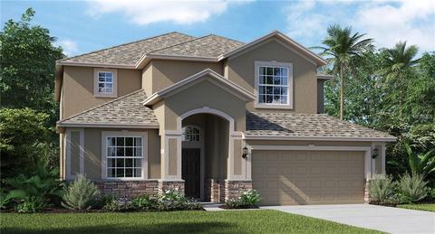 10811 River Hawk Ln, Riverview, FL 33569 photo 1