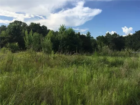 233 Carter Rd, Lithia, FL 33547 photo 1