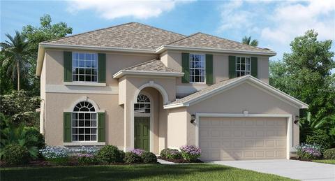 10704 River Hawk Ln, Riverview, FL 33569 photo 1