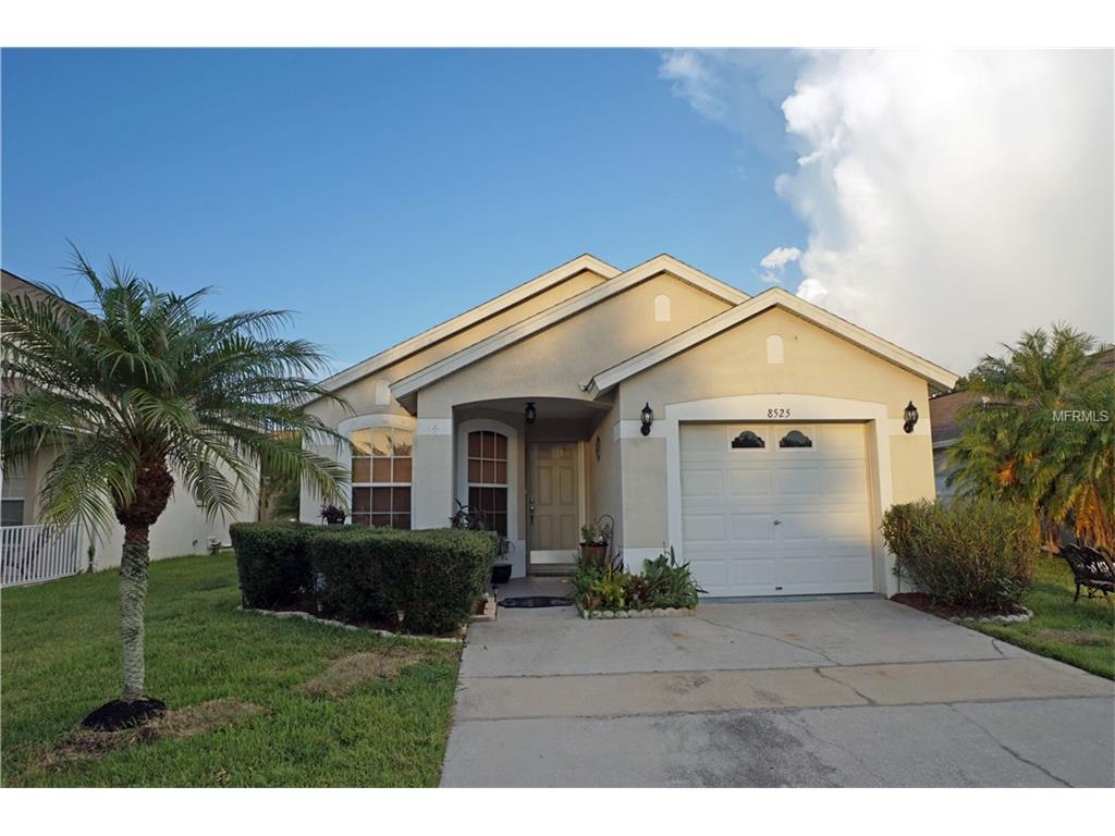 8525 Hawbuck St, Trinity, FL 34655 photo 1