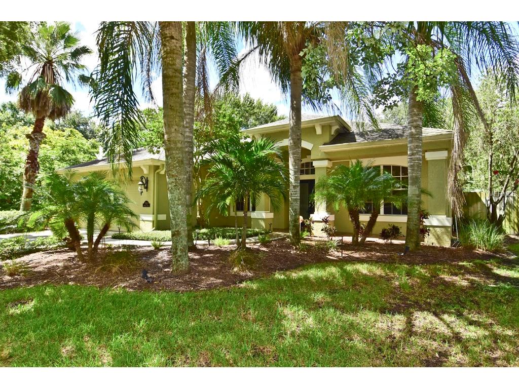 7018 Potomac Cir, Riverview, FL 33578 photo 1