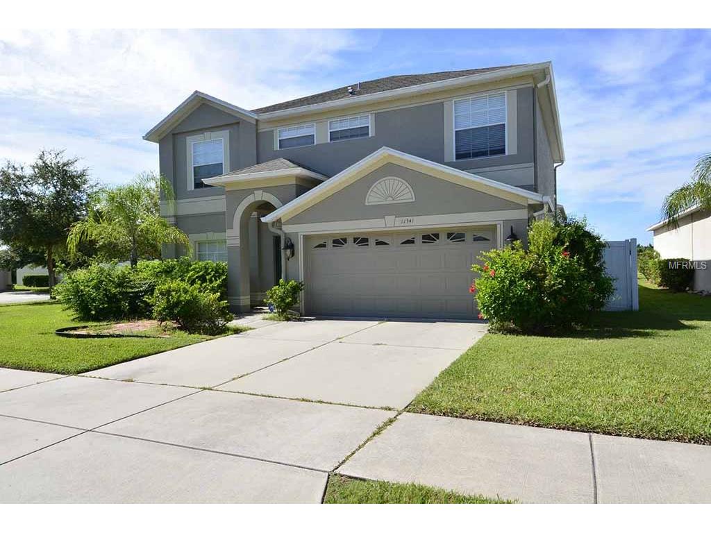 11341 Callaway Pond Dr, Riverview, FL 33579 photo 1