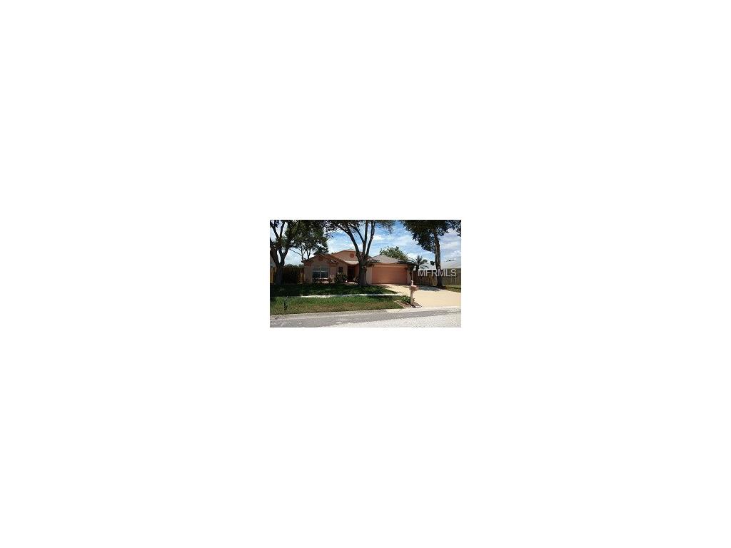11912 Cedarfield Dr, Riverview, FL 33579 photo 1