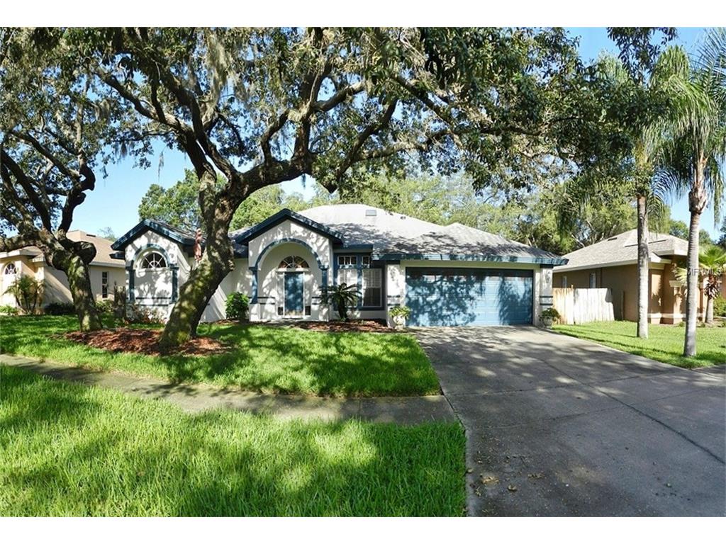 10425 Nightengale Dr, Riverview, FL 33569 photo 1