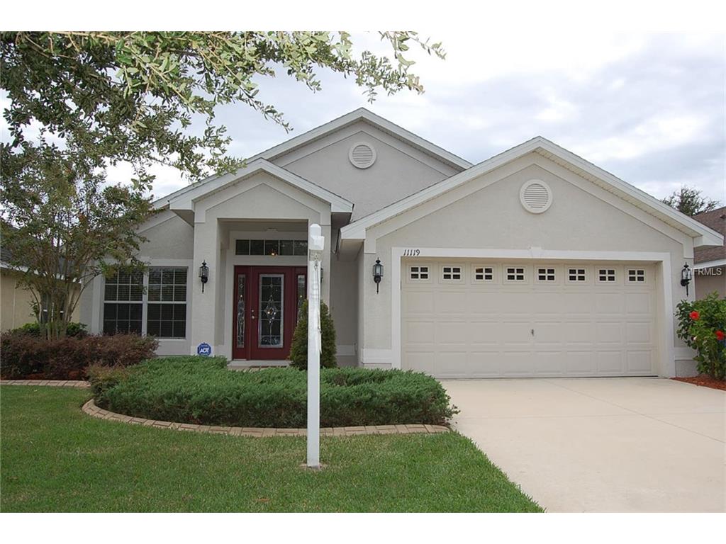 11119 Irish Moss Ave, Riverview, FL 33569 photo 1