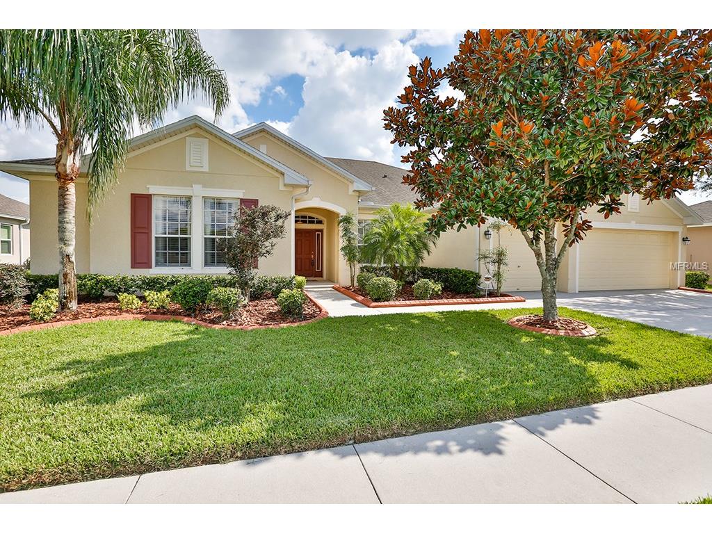 11817 Newberry Grove Loop, Riverview, FL 33579 photo 1