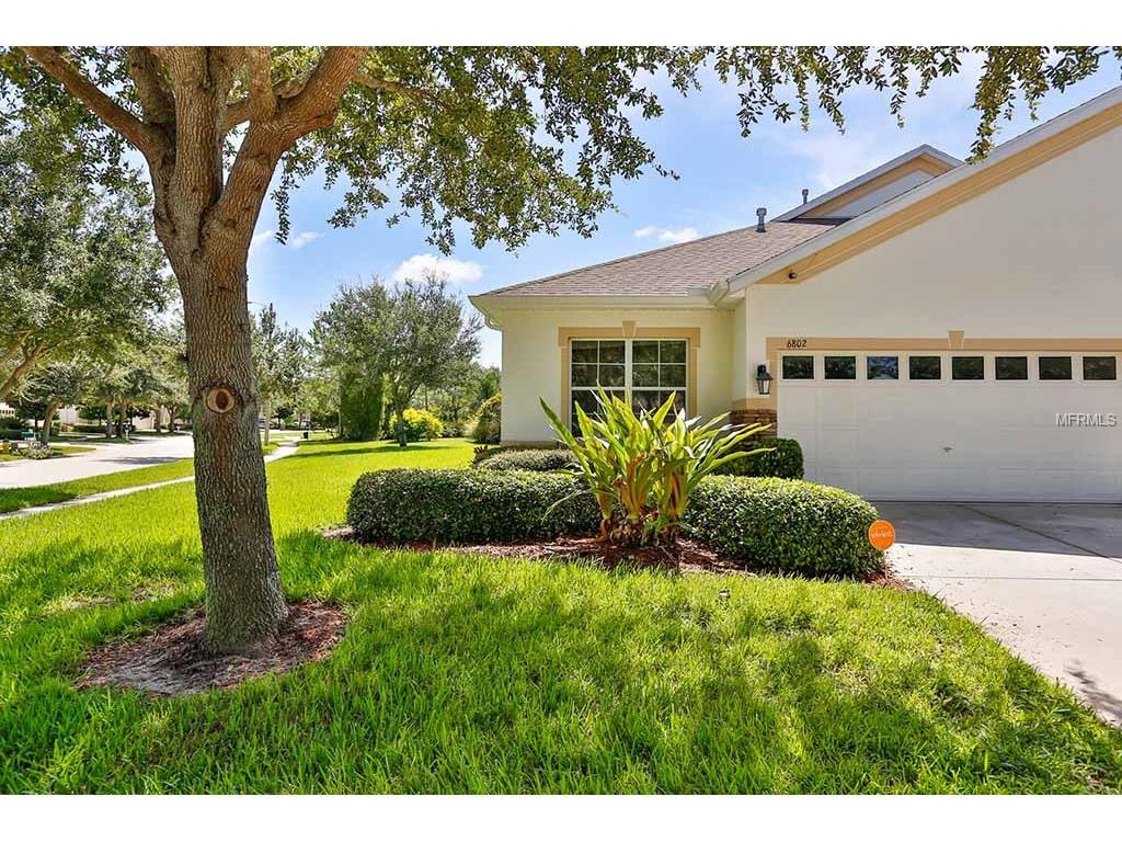 6802 Surrey Oak Dr, Apollo Beach, FL 33572 photo 1