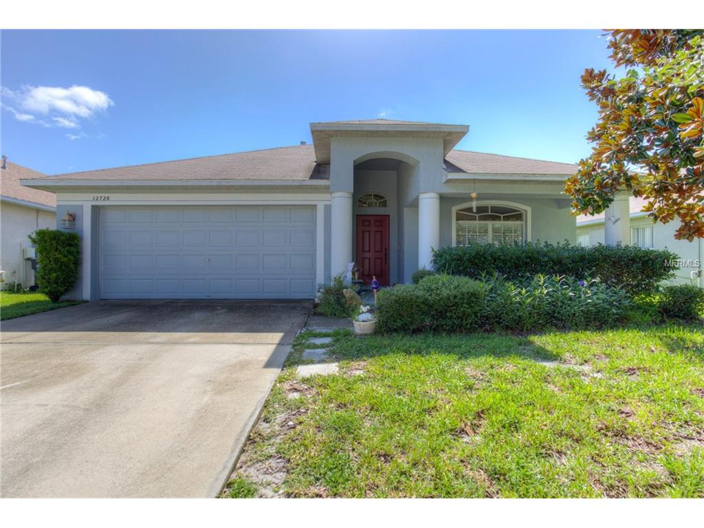 12726 Standbridge Dr, Riverview, FL 33579 photo 1