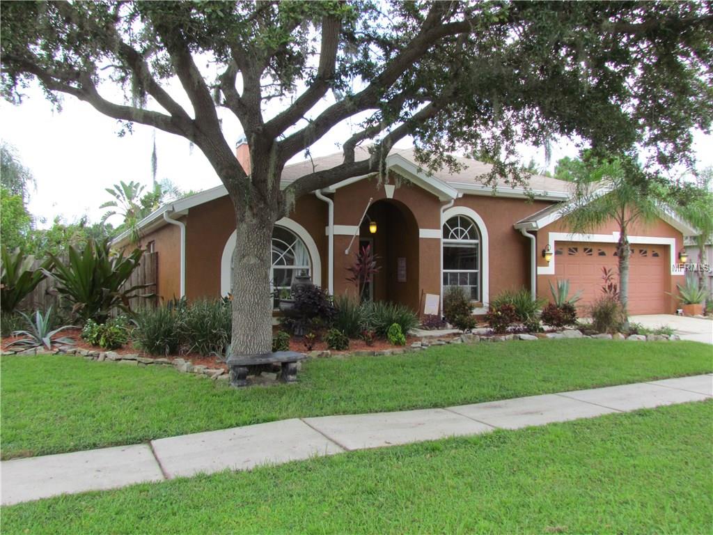 10110 Tantara Ct, Riverview, FL 33578 photo 1