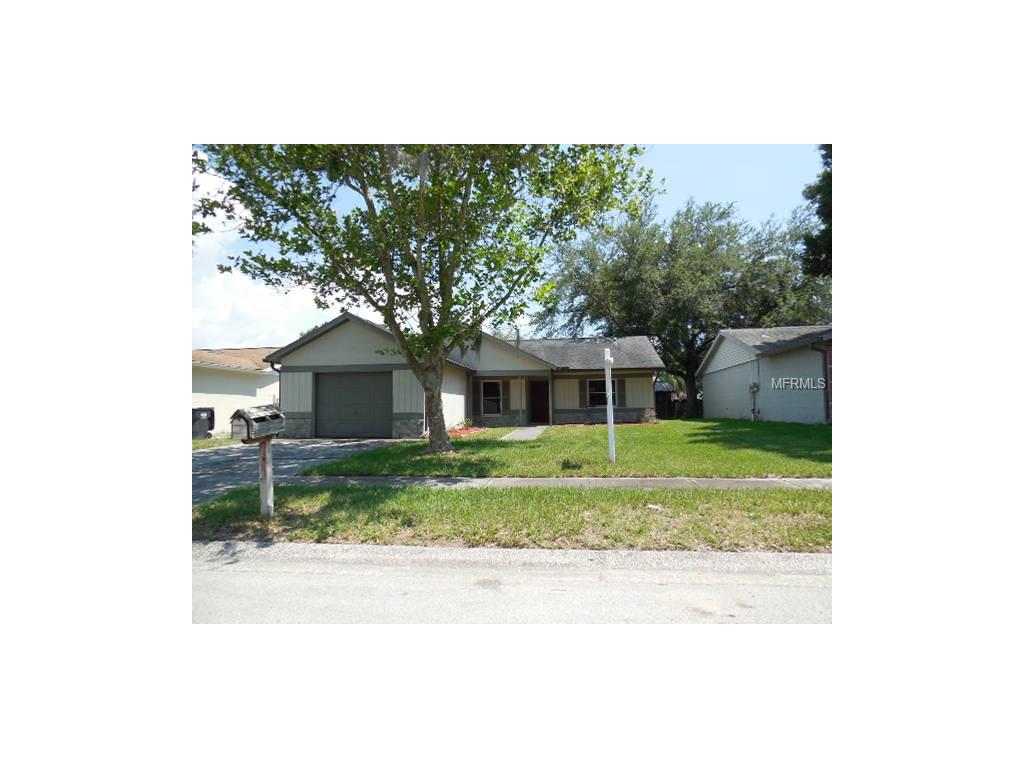 11341 Blackbark Dr, Riverview, FL 33579 photo 1