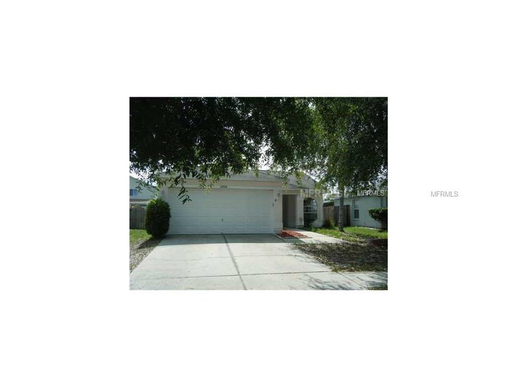 12916 Brant Tree Dr, Riverview, FL 33579 photo 1
