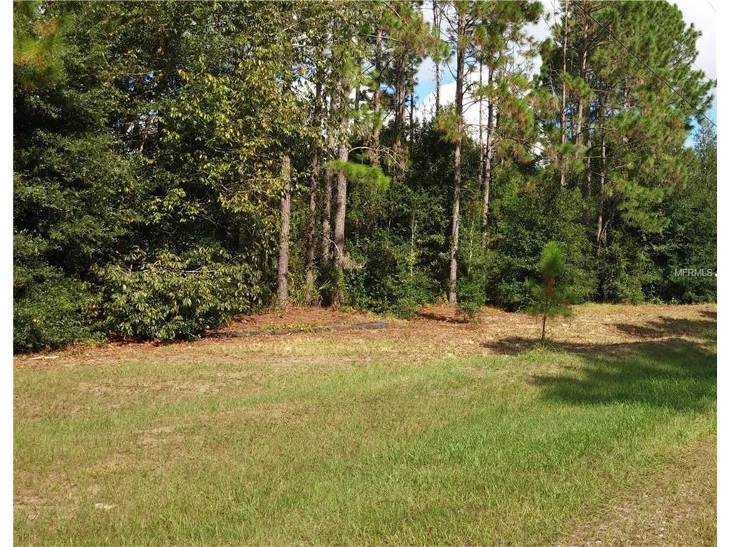 6708 Peyton Dr, Seffner, FL 33584 photo 1