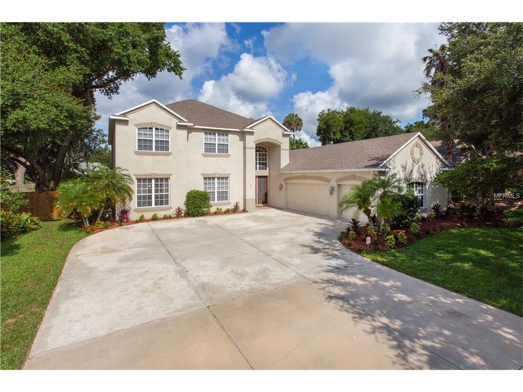 910 Hickory Fork Dr, Seffner, FL 33584 photo 1