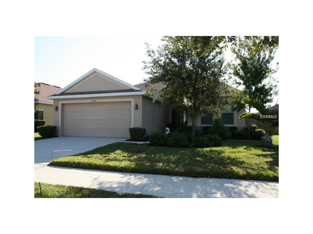 13710 Rothman Tate Pl, Riverview, FL 33579 photo 1