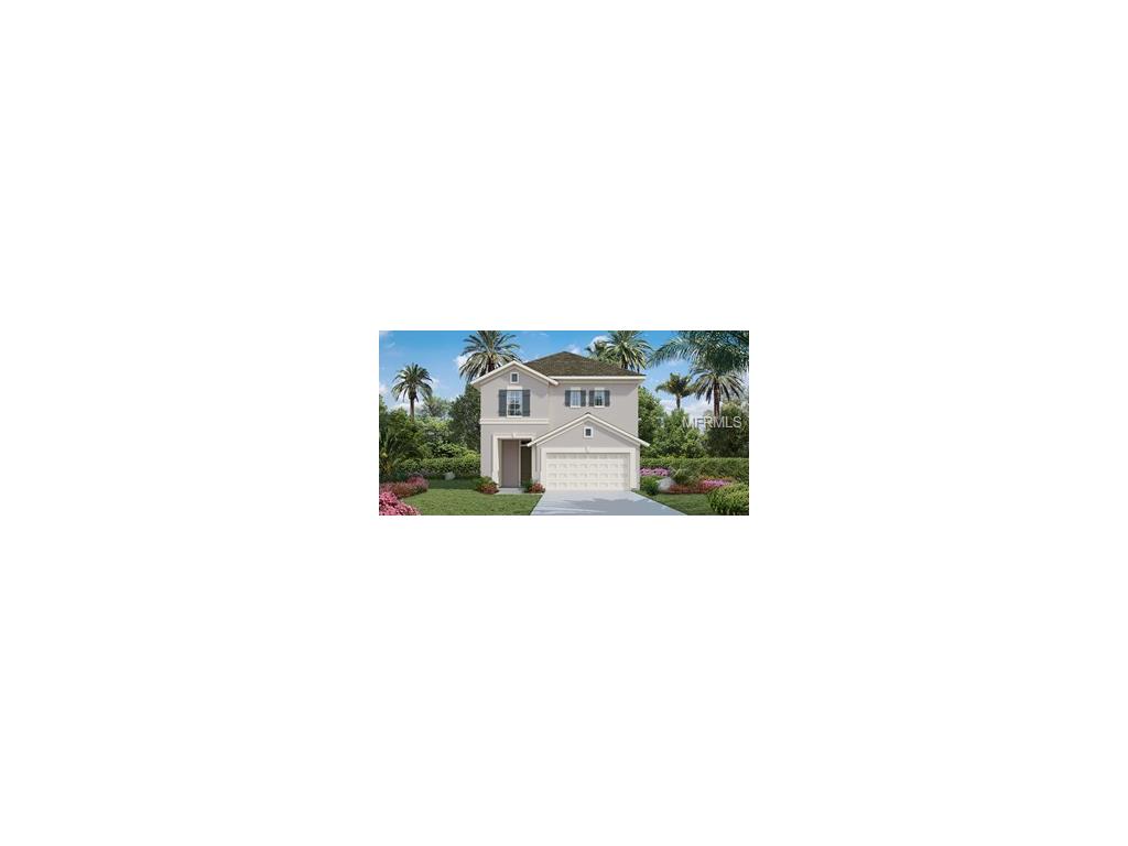 6325 Lantern View Dr, Apollo Beach, FL 33572 photo 1