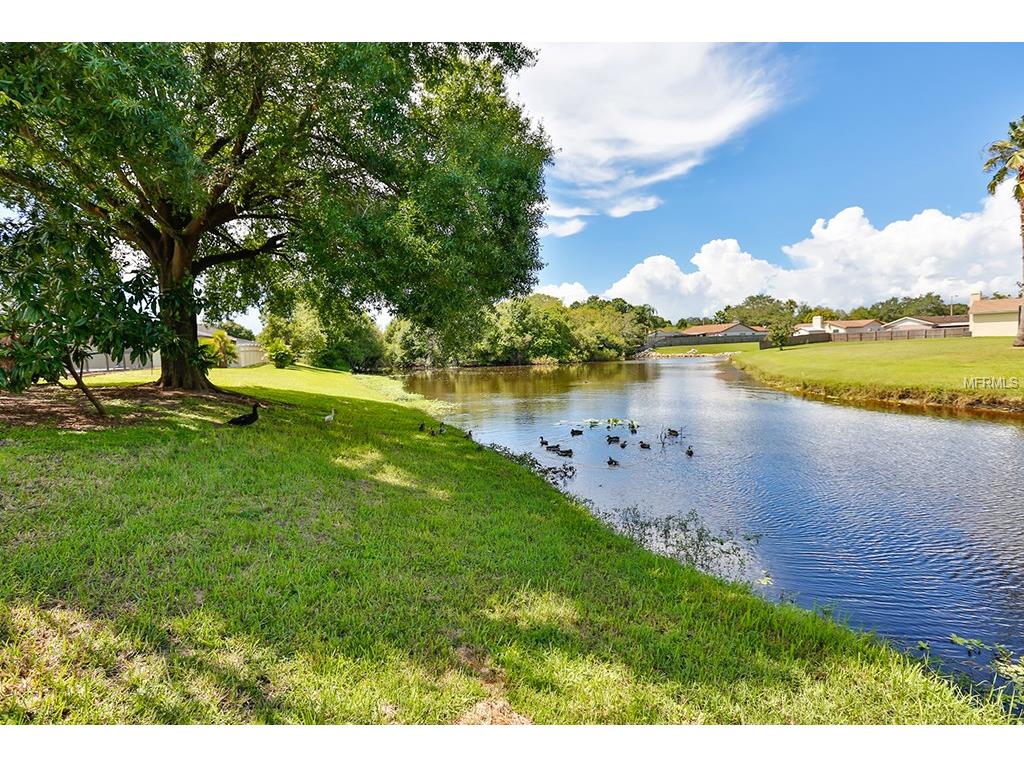 1113 Blufield Ave, Brandon, FL 33511 photo 1