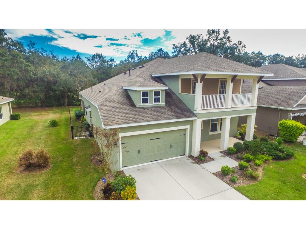 16015 Courtside View Dr, Lithia, FL 33547 photo 1