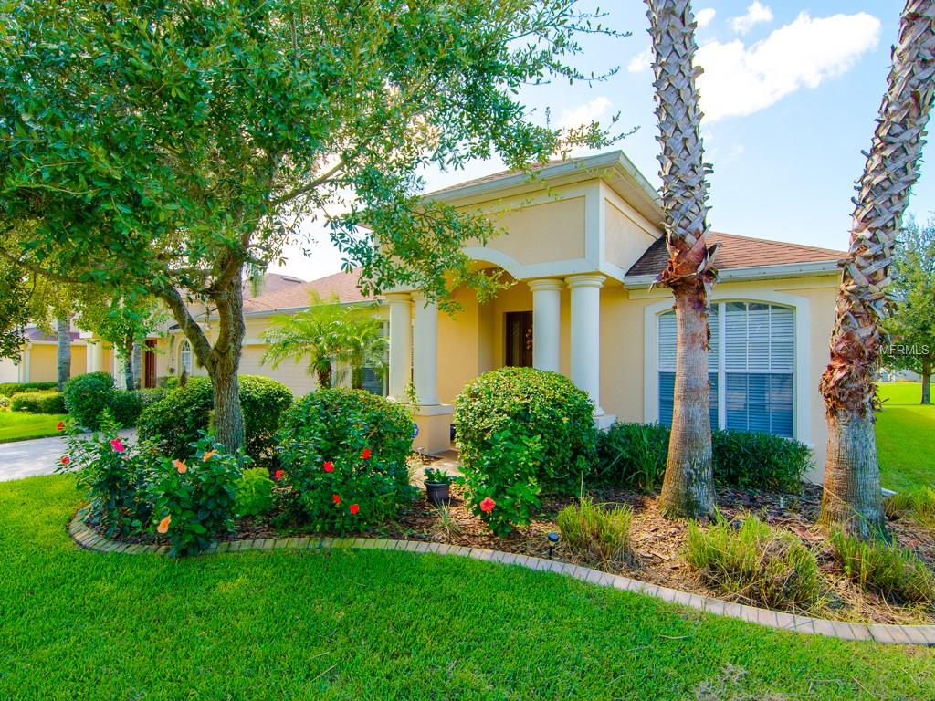3446 Hickory Hammock Loop, Wesley Chapel, FL 33544 photo 1