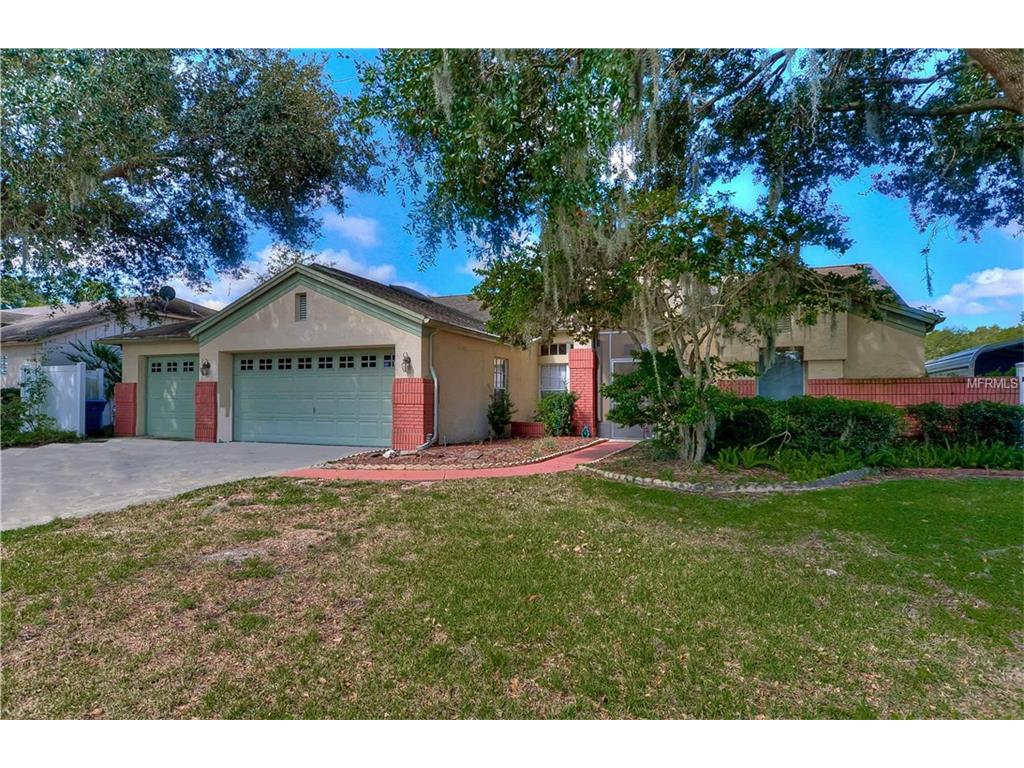 10109 Tarragon Dr, Riverview, FL 33569 photo 1