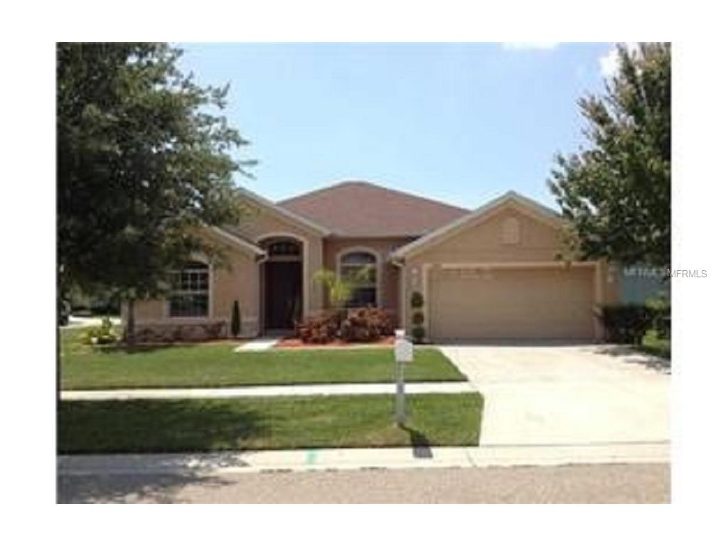 11404 Newgate Crest Dr, Riverview, FL 33579 photo 1