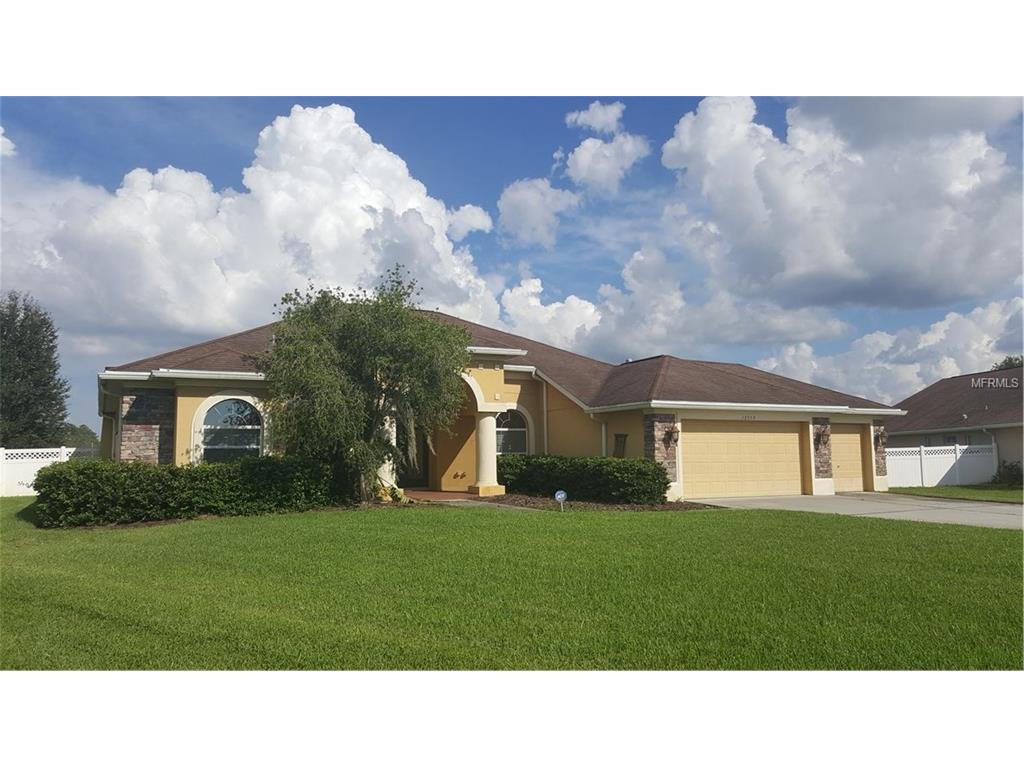 12359 Creek Edge Dr, Riverview, FL 33579 photo 1