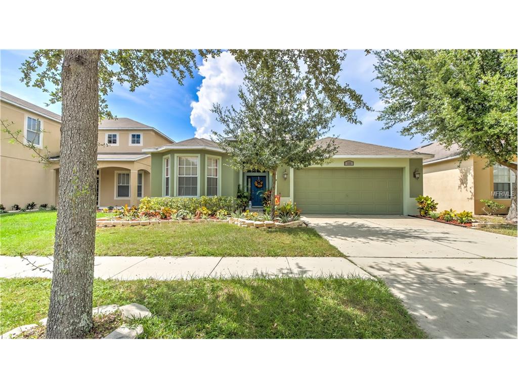 8615 Sandy Plains Dr, Riverview, FL 33578 photo 1