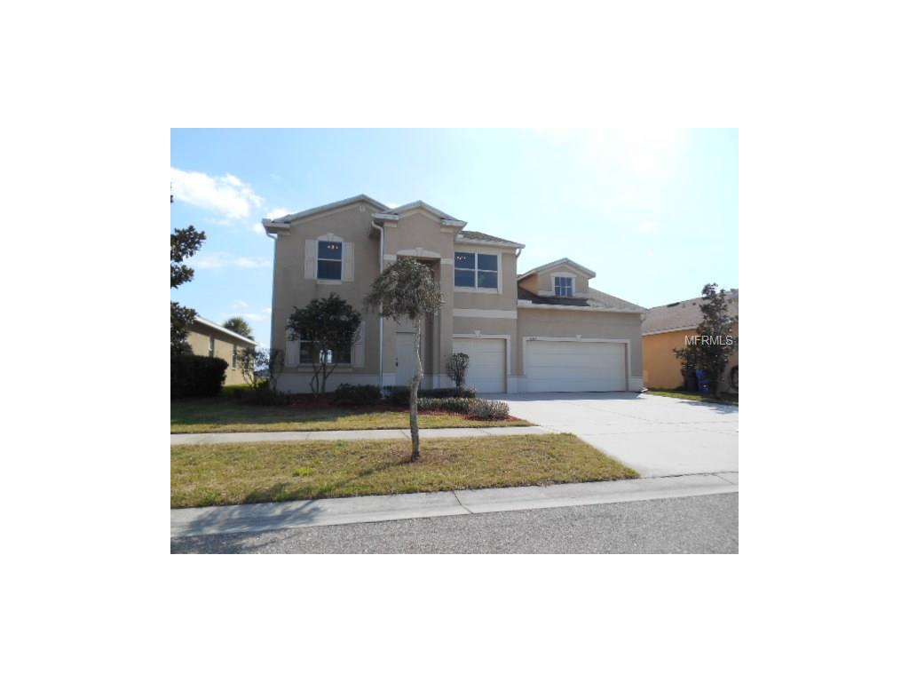 11307 Laurel Brook Ct, Riverview, FL 33569 photo 1