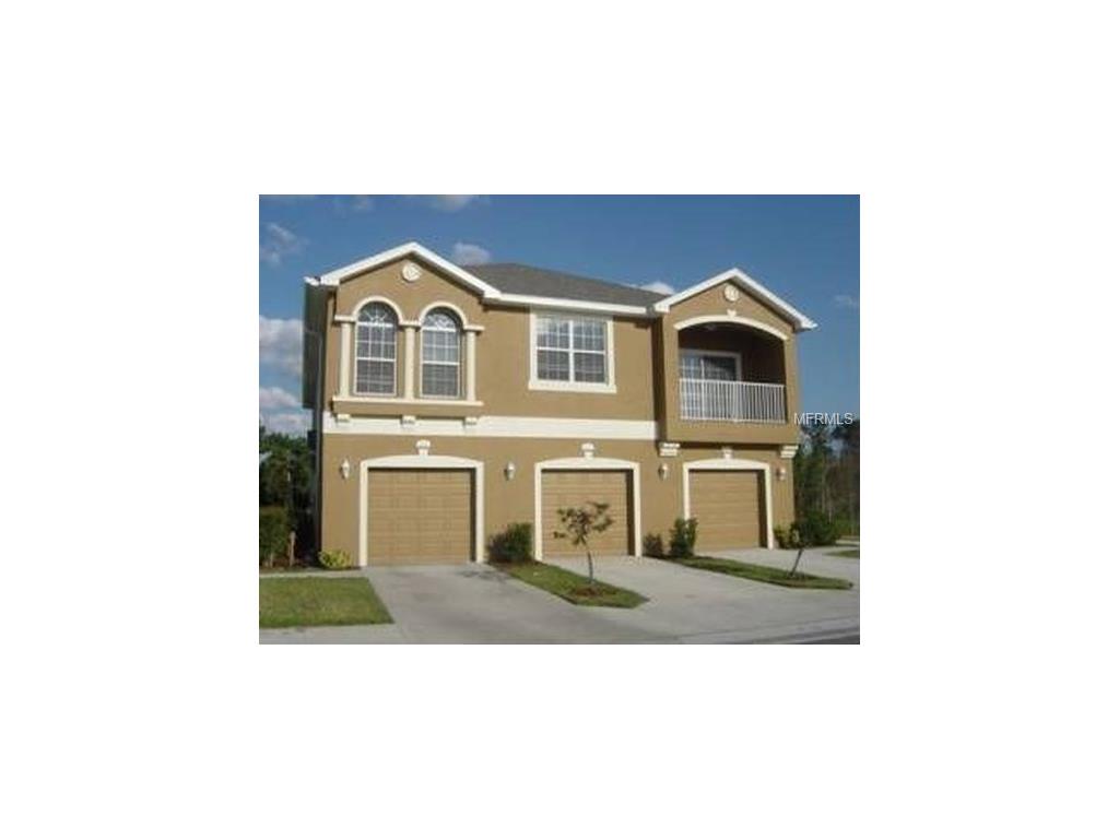 8912 Moonlit Meadows Loop, Riverview, FL 33578 photo 1