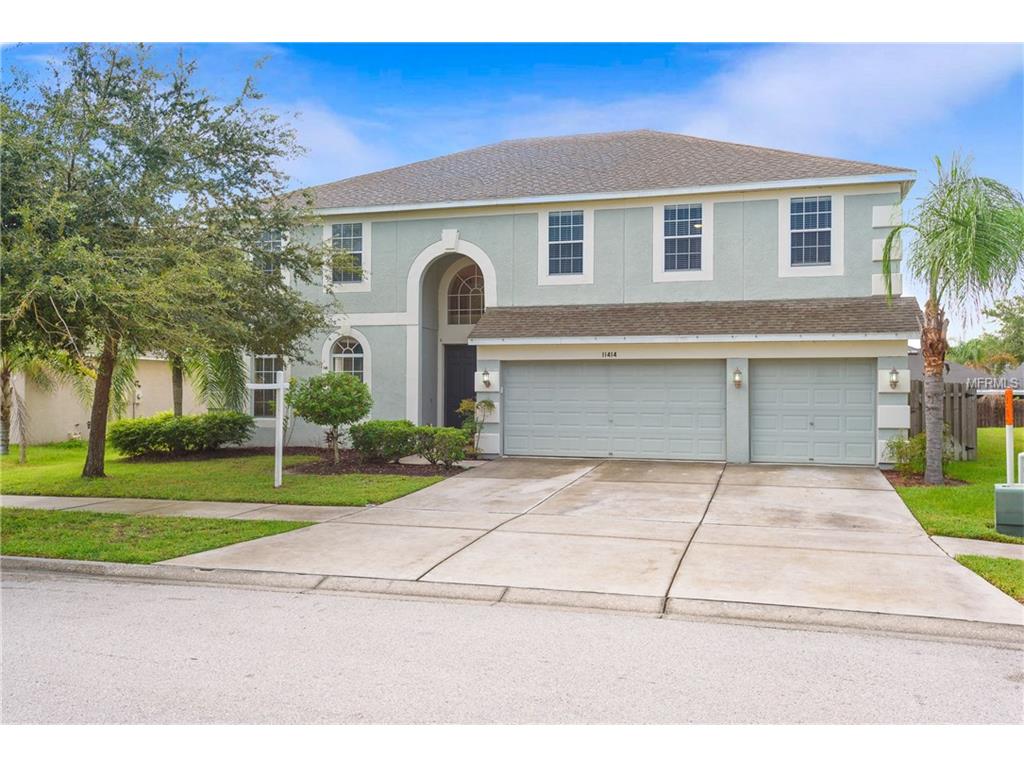 11414 Dutch Iris Dr, Riverview, FL 33578 photo 1