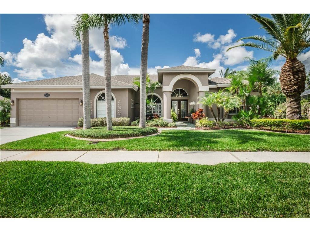 1219 Maravista Dr, Trinity, FL 34655 photo 1