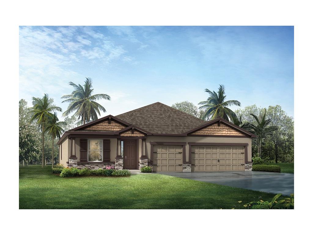 12329 Juniper Field Ct, Riverview, FL 33579 photo 1