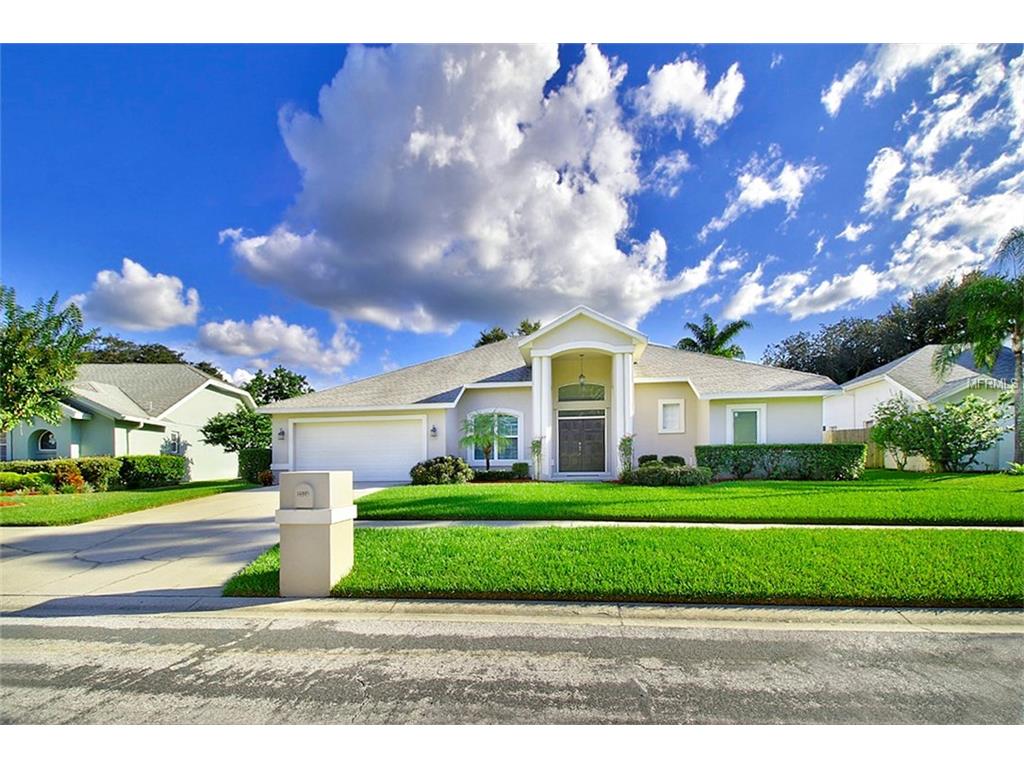 2329 Eagle Bluff Dr, Valrico, FL 33596 photo 1