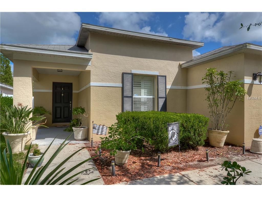 6610 Gates Pointe Way, Riverview, FL 33578 photo 1