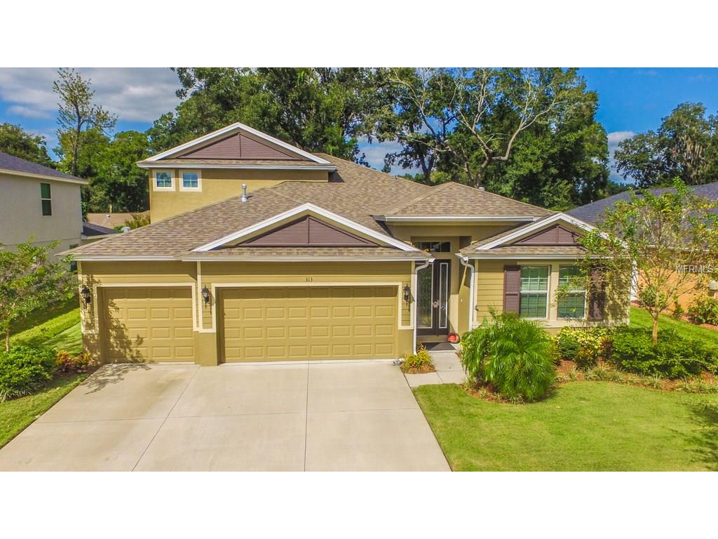 313 Parsons Woods Dr, Seffner, FL 33584 photo 1