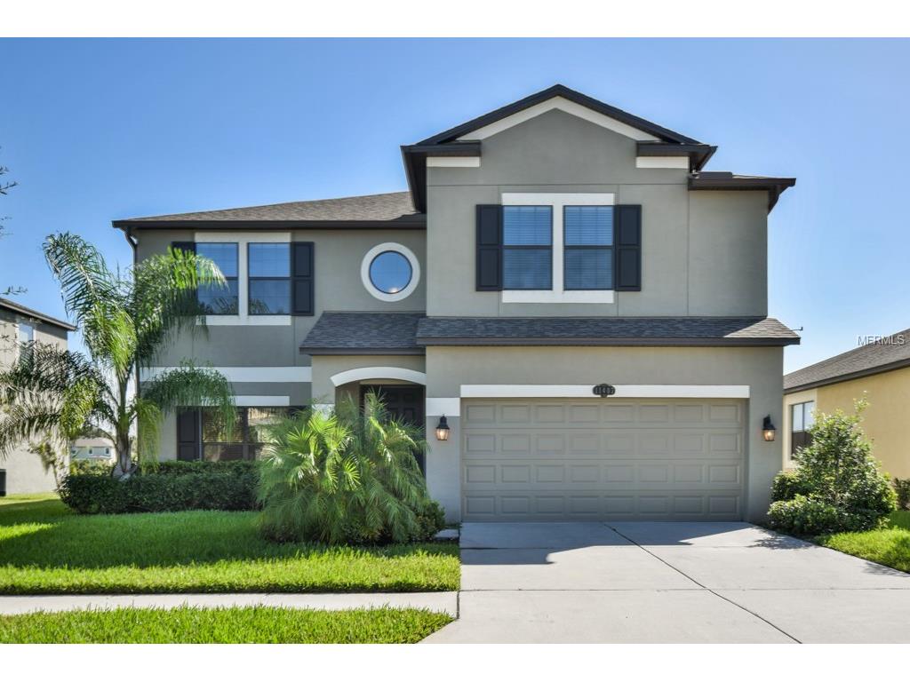 11407 Blue Crane St, Riverview, FL 33569 photo 1