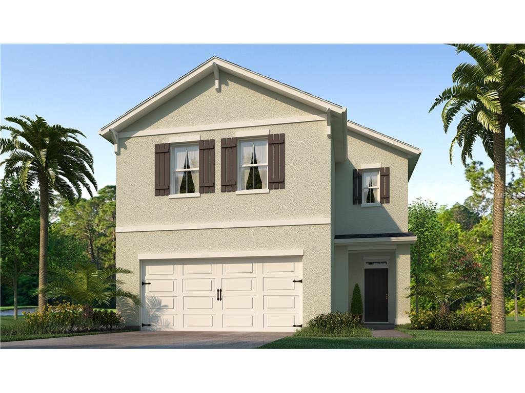10536 Whispering Hammock Dr, Riverview, FL 33578 photo 1