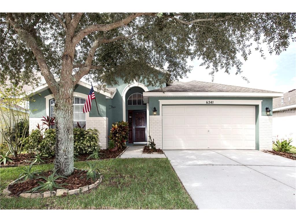 6341 Bridgecrest Dr, Lithia, FL 33547 photo 1