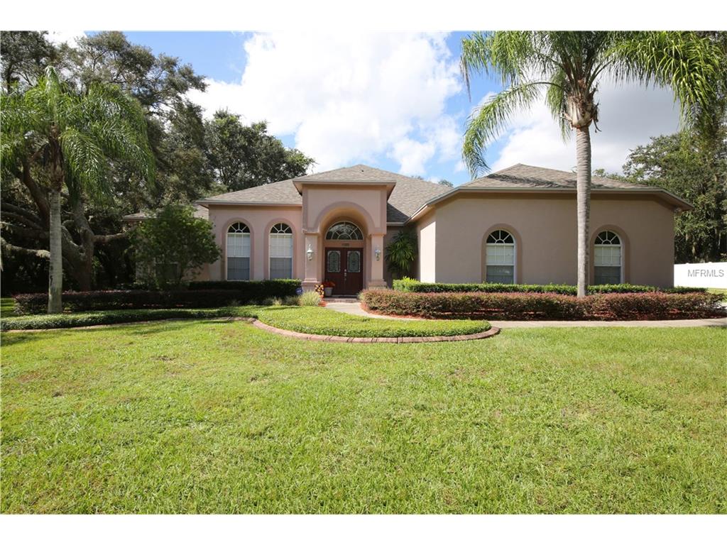 11305 Sandpine Rd, Riverview, FL 33569 photo 1