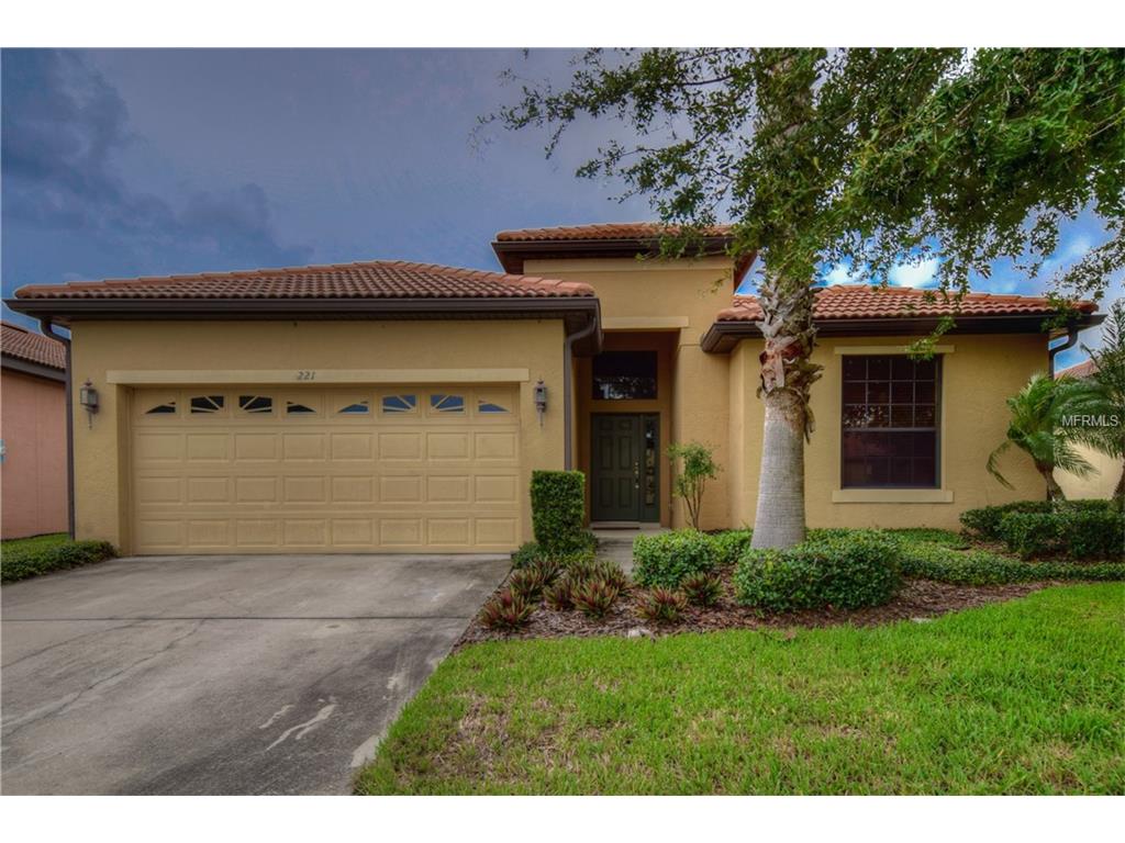 221 Silver Falls Dr, Apollo Beach, FL 33572 photo 1