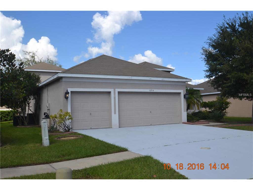 10914 Australian Pine Dr, Riverview, FL 33579 photo 1