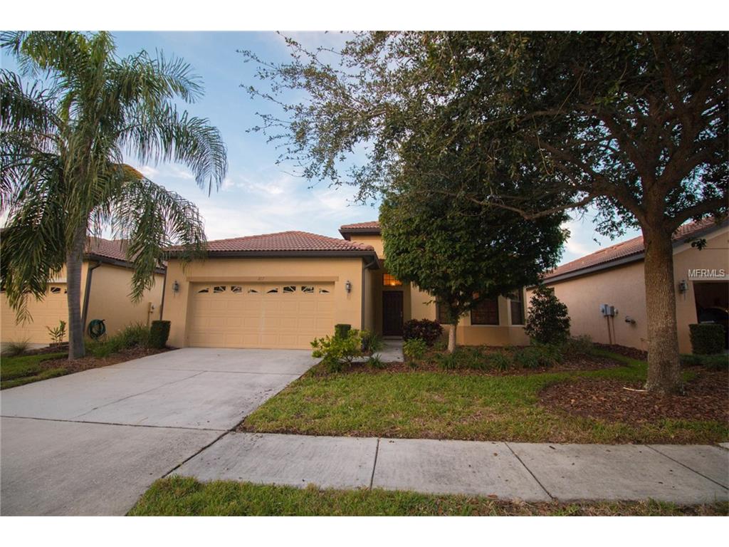 237 Silver Falls Dr, Apollo Beach, FL 33572 photo 1