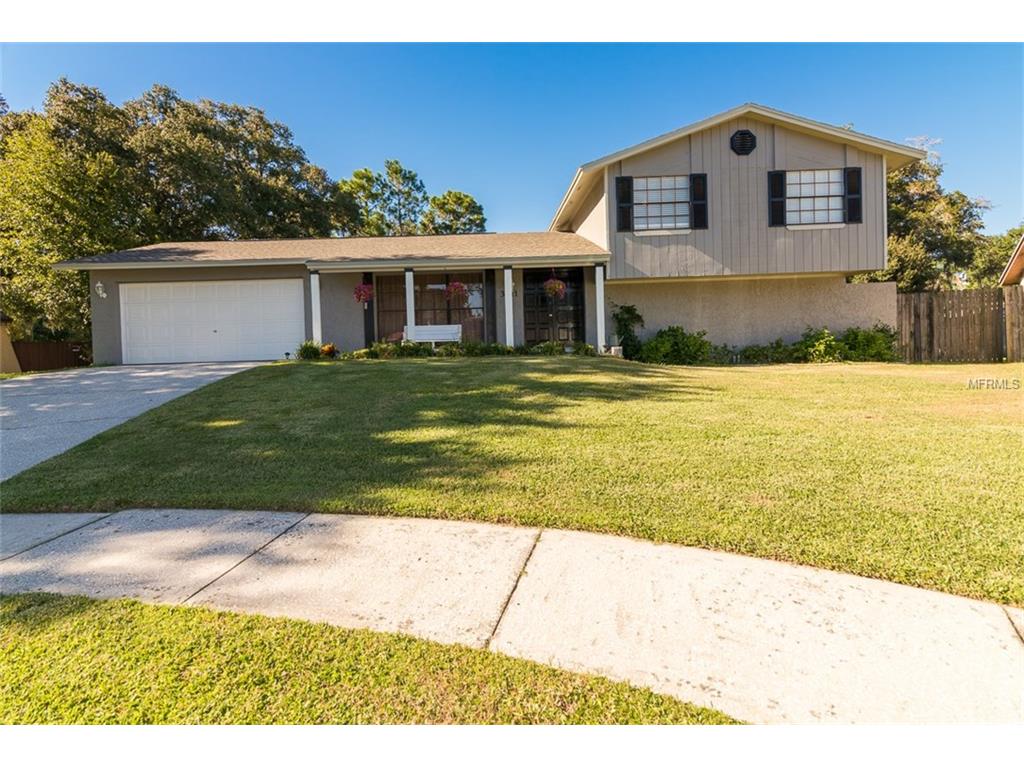 3611 Casaba Loop, Valrico, FL 33596 photo 1
