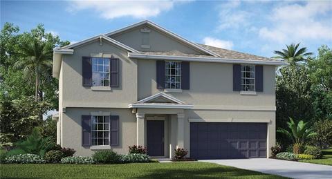 10643 Standing Stone Dr, Wimauma, FL 33598 photo 1